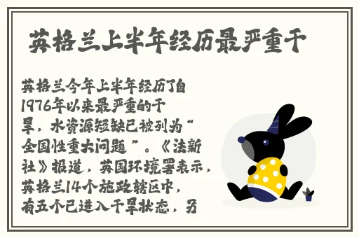 老夫子传媒星空传媒有限公司